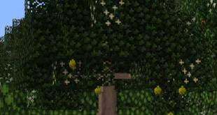 我的世界1.12.2动态的树：料理工艺附属 Dynamic Trees – Cuisine Mod - 我的世界基岩版中文站 - 我的世界基岩版中文站