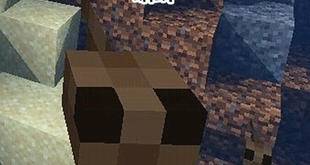 我的世界蝌蚪怎么驯服 - 奇趣星球报