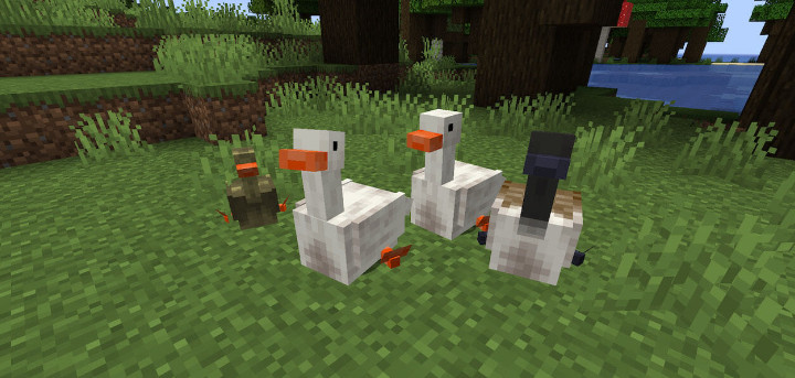我的世界1.19.2-1.16.5无题鸭 Untitled Duck Mod - 我的世界基岩版中文站 - 我的世界基岩版中文站