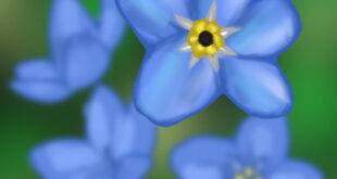 我的世界1.19.2-1.18.2 Forget-Me-Not Shaders 光影 - 我的世界基岩版中文站