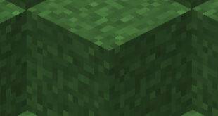 我的世界1.19.3 Fast Better Grass 材质包 - 我的世界基岩版中文站 - 我的世界基岩版中文站
