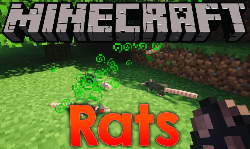 我的世界1.19.4-1.12.2老鼠 Rats Mod - 我的世界基岩版中文站 - 我的世界基岩版中文站
