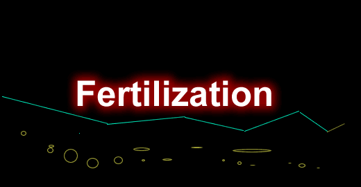 我的世界1.19.4施肥 Fertilization Mod - 我的世界基岩版中文站