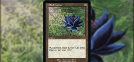 黑莲花卡牌刷新《万智牌》售价最高记录,高达300万美元 - 奇趣星球报