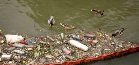 巴黎奥运会开幕在即,市长承诺塞纳河水质将适于运动员游泳 - 我的世界基岩版中文站