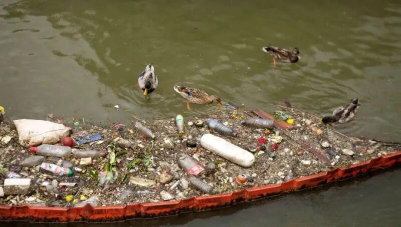 巴黎奥运会开幕在即，市长承诺塞纳河水质将适于运动员游泳 - 奇趣星球报 - 奇趣星球报