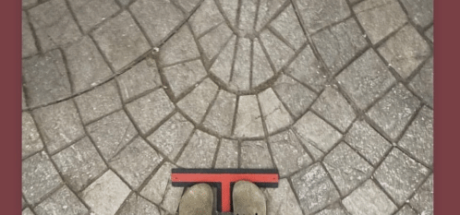 终于拍完了！迪士尼《白雪公主》真人版正式杀青 - 奇趣星球报