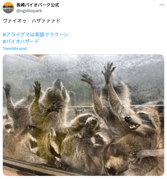 日本动物园发浣熊惊悚照，《生化危机》官方翻牌：简直太像了 - 我的世界基岩版中文站 - 我的世界基岩版中文站
