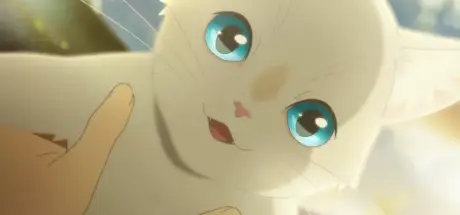 网友幻想自己有猫，诡异行为曝光！大家原以为他在悼念逝去的爱宠 - 奇趣星球报