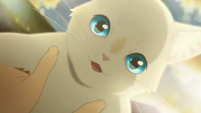 网友幻想自己有猫，诡异行为曝光！大家原以为他在悼念逝去的爱宠 - 奇趣星球报 - 奇趣星球报