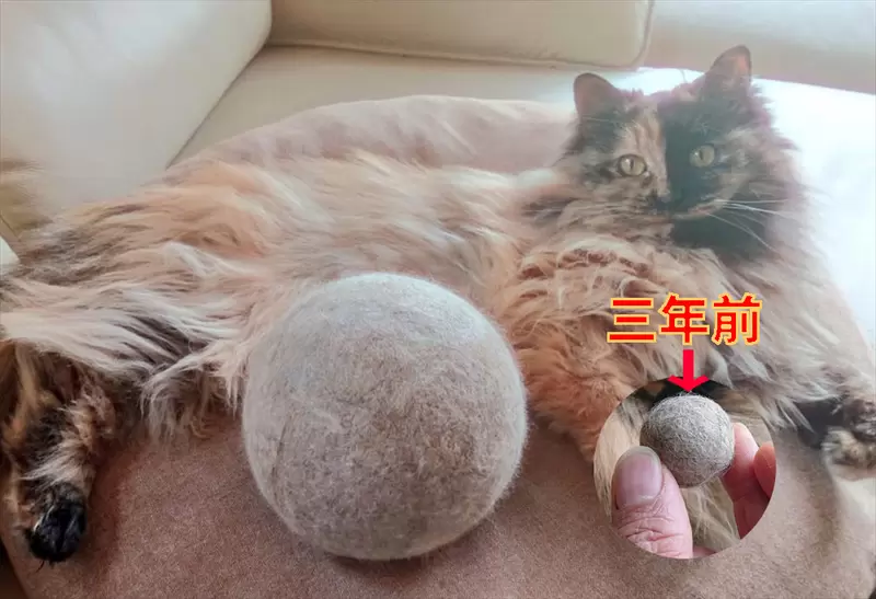 铲屎官收集了1095天的猫毛球,结果竟然出乎意料! - 奇趣星球报 - 奇趣星球报