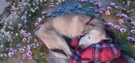 在虚拟空间与爱犬重逢!主人打造海滩,履行对已故狗狗的承诺 - 我的世界基岩版中文站