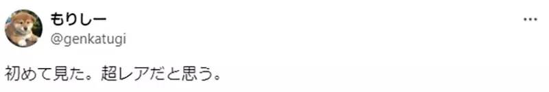 我的世界基岩版【】下载