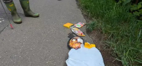 “路边的诡异便当”引发猜测！是意外还是恶作剧？网友毛骨悚然的推论 - 我的世界基岩版中文站