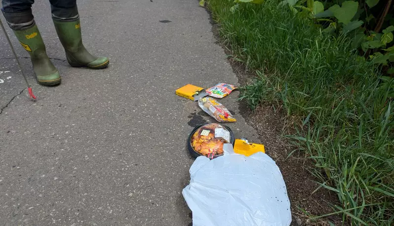 “路边的诡异便当”引发猜测！是意外还是恶作剧？网友毛骨悚然的推论 - 奇趣星球报 - 奇趣星球报