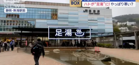 鸽子也享受温泉？“足汤的鸽子”奇景在日本温泉圣地引发专家好奇 - 奇趣星球报