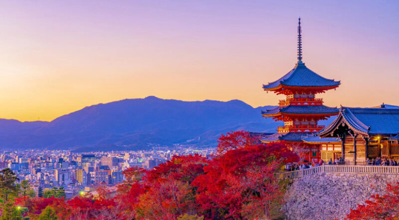 享受京都的最佳方法,是不去京都?日本网友热议:观光公害毁灭京都梦! - 奇趣星球报 - 奇趣星球报