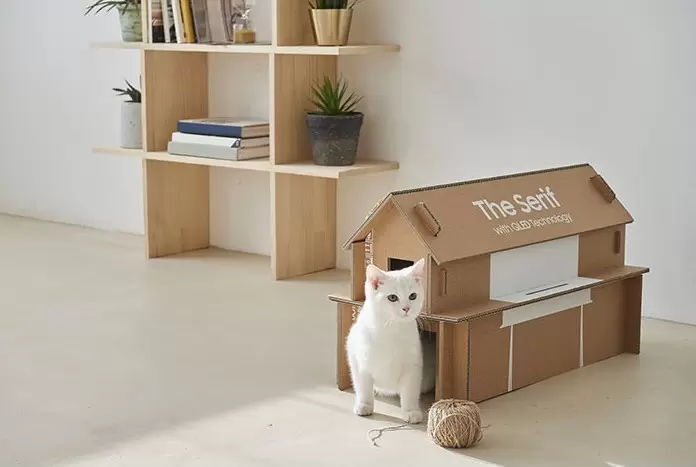 宠物专属的贴心发明：用爱心设计，为毛孩带来更好的生活体验 - 奇趣星球报 - 奇趣星球报