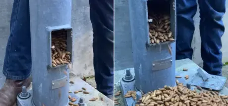 工人发现电线杆内的橡实秘密，松鼠竟然悄悄把这里塞得满满当当 - 我的世界基岩版中文站