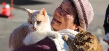 日本猫岛「青岛」迎来高龄化危机,居民与猫咪共同走过最后时光! - 奇趣星球报