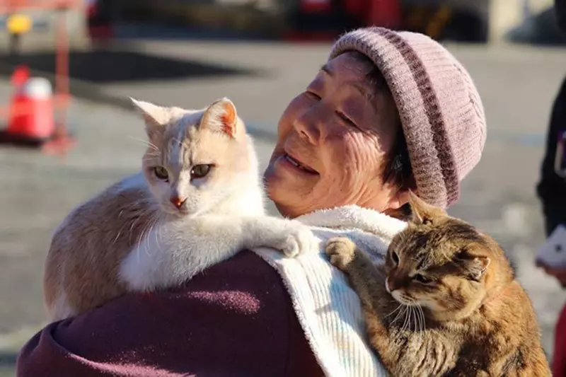日本猫岛「青岛」迎来高龄化危机，居民与猫咪共同走过最后时光！ - 我的世界基岩版中文站 - 我的世界基岩版中文站