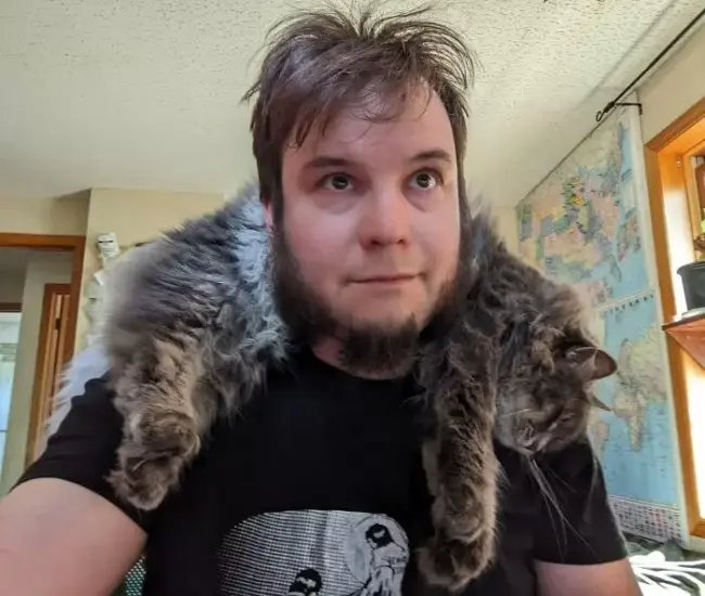 猫猫的酣睡萌照!当动物们闭上眼睛时,那个样子真的超可爱 - 奇趣星球报 - 奇趣星球报