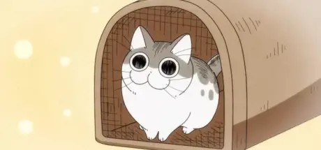 猫咪也能订阅?月费380日圆的日本宠物服务引发争议,网友怒斥不负责任 - 奇趣星球报