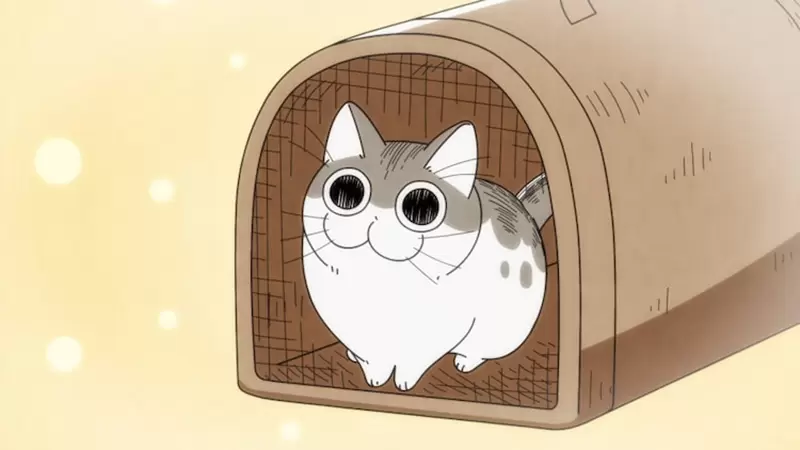 猫咪也能订阅？月费380日圆的日本宠物服务引发争议，网友怒斥不负责任 - 我的世界基岩版中文站 - 我的世界基岩版中文站