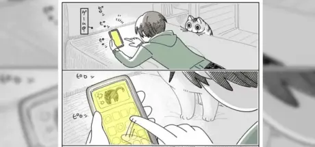 猫猫的爱是独占！主人一玩手机，它就要抢走那只手 - 我的世界基岩版中文站