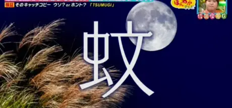 穿上就能驱虫！神奇内搭裤让蚊子晕头转向，告别防蚊液的日子来了？ - 我的世界基岩版中文站