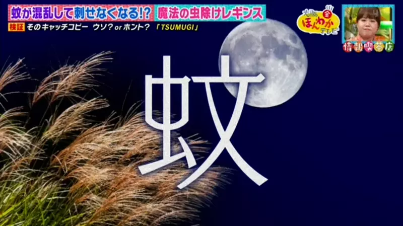 穿上就能驱虫！神奇内搭裤让蚊子晕头转向，告别防蚊液的日子来了？ - 奇趣星球报 - 奇趣星球报