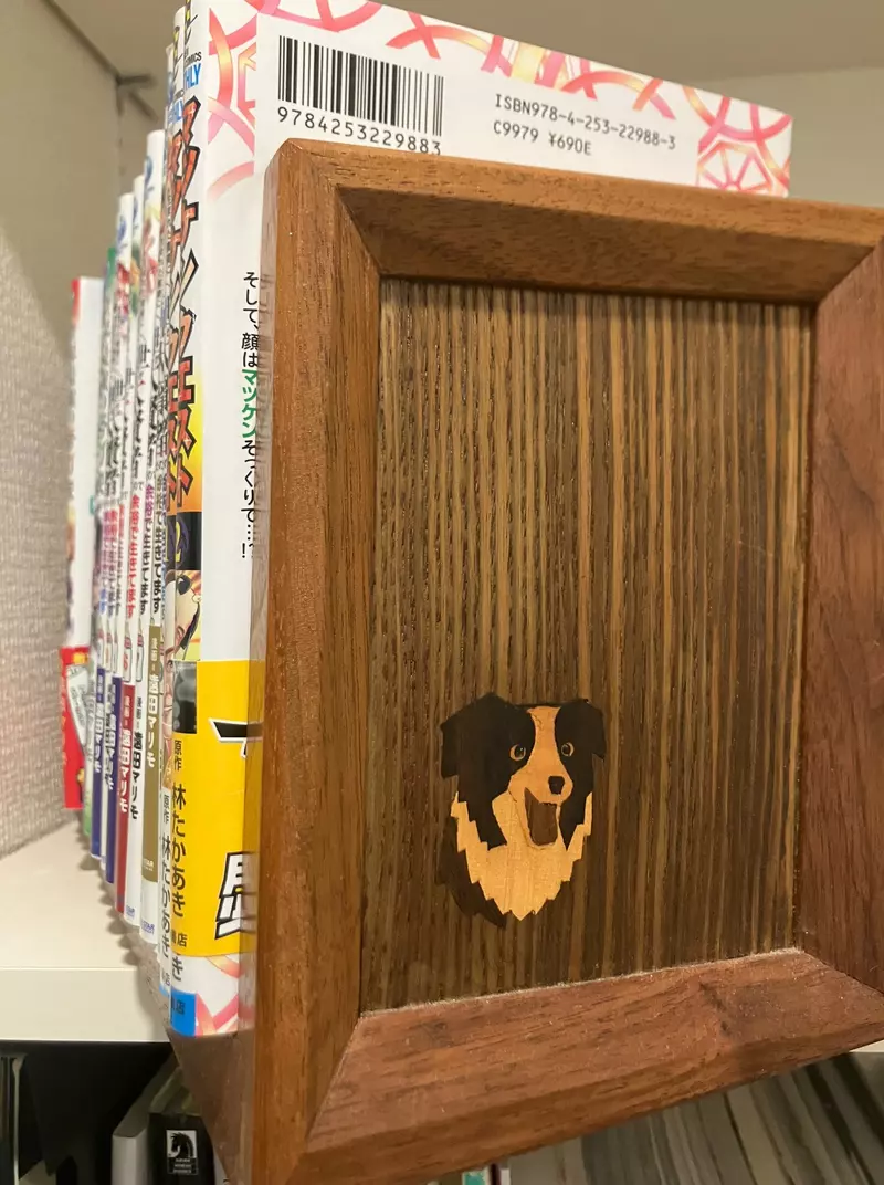 我的世界基岩版【】下载