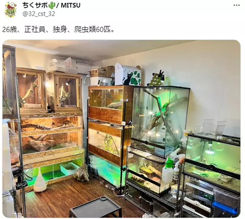 我的世界基岩版【】下载