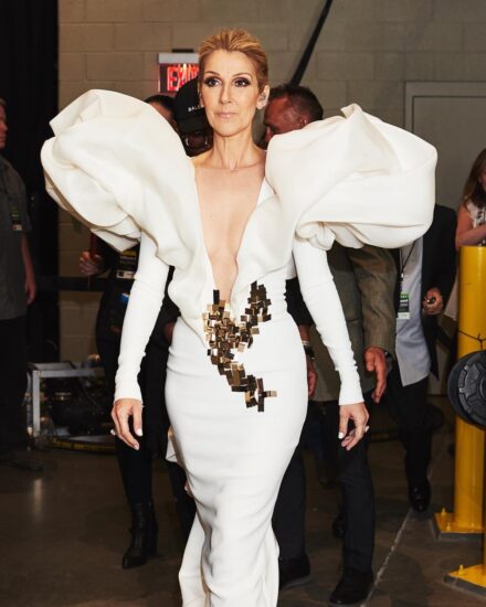 Céline Dion 首度谈及僵硬人症候群!纪录片揭露抗病秘辛,誓言爬着也要重返舞台! - 我的世界基岩版中文站 - 我的世界基岩版中文站