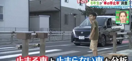 日本小六生研究“行人地狱”!斑马线上没人礼让,竟是凶狠大哥哥比和善老奶奶更有礼? - 我的世界基岩版中文站