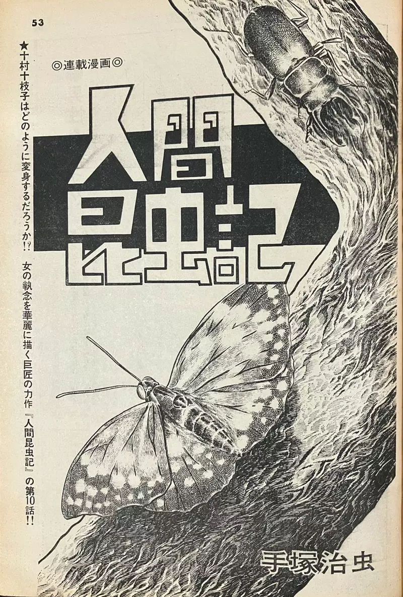 我的世界基岩版【】下载