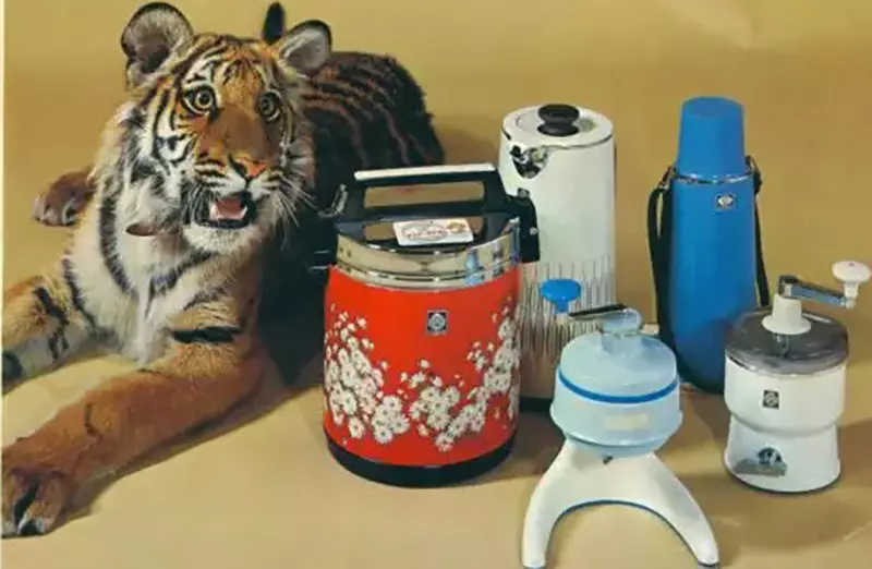 “日本虎牌”保温瓶大厂的传说竟是真的!年轻员工都不敢相信,公司竟养过老虎 - 奇趣星球报 - 奇趣星球报