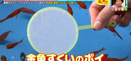 日本老牌捞鱼纸网工厂年收3000万！背后竟与医学教育有奇妙关联 - 我的世界基岩版中文站