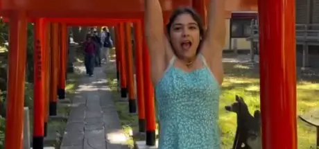 吴哥窟涂鸦事件重现?外国游客“鸟居吊单杠”引发热议,江户时代日本武士也有相似案例! - 我的世界基岩版中文站