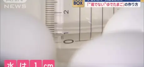 日本记者竟然不会看直尺!教你如何省水快煮鸡蛋,用尺量水的一幕让网友都无语了! - 我的世界基岩版中文站