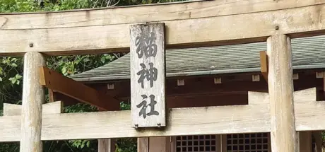 日本四国“专门供奉猫”的猫神社“箕越猫祠社”！猫神大人将会保佑你事业一帆风顺！ - 我的世界基岩版中文站