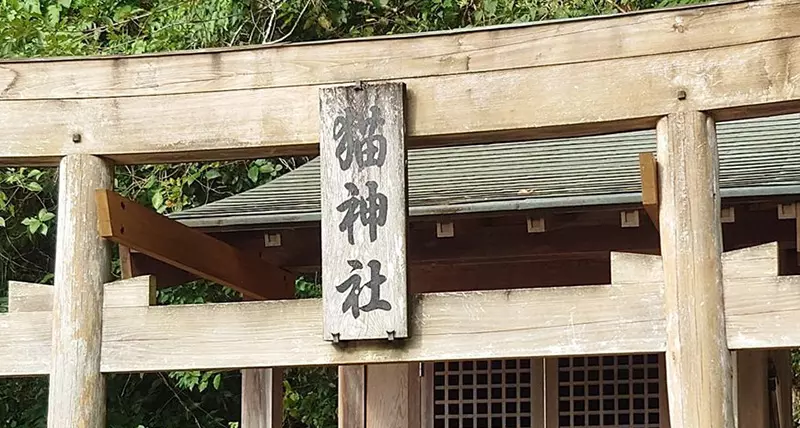 日本四国“专门供奉猫”的猫神社“箕越猫祠社”！猫神大人将会保佑你事业一帆风顺！ - 我的世界基岩版中文站 - 我的世界基岩版中文站