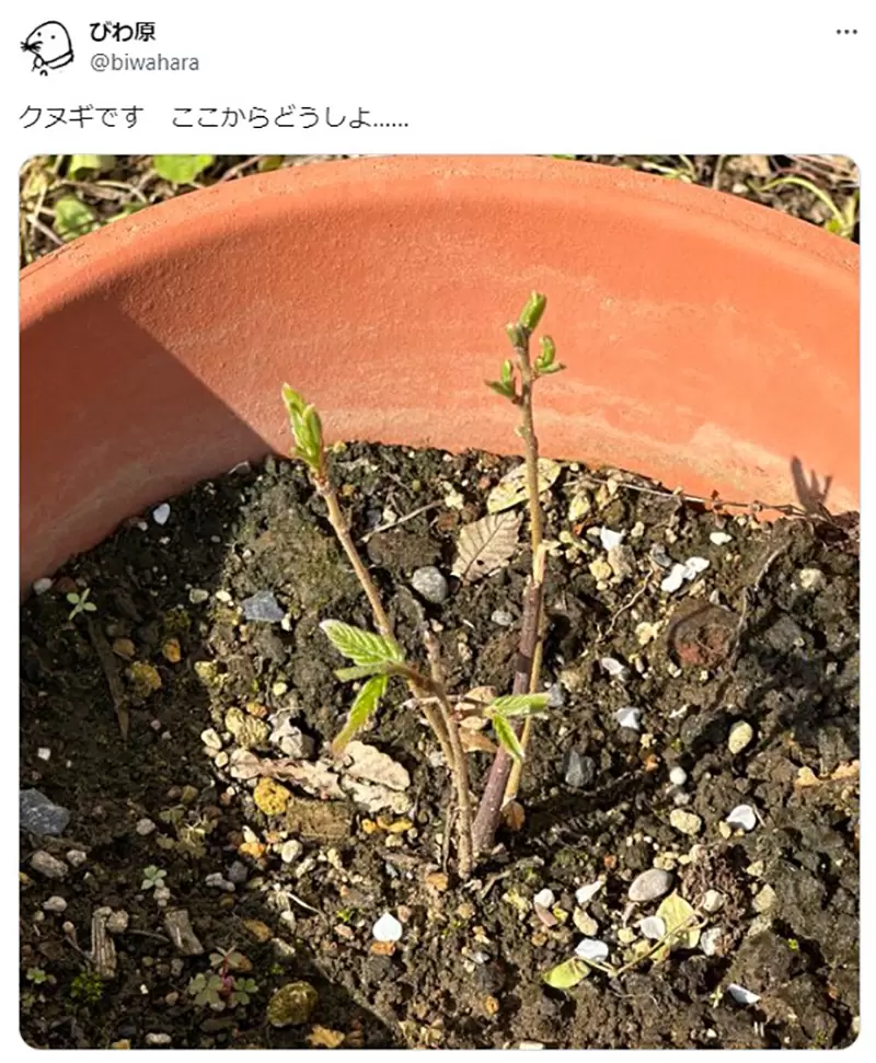 我的世界基岩版【】下载 我的世界基岩版【】下载