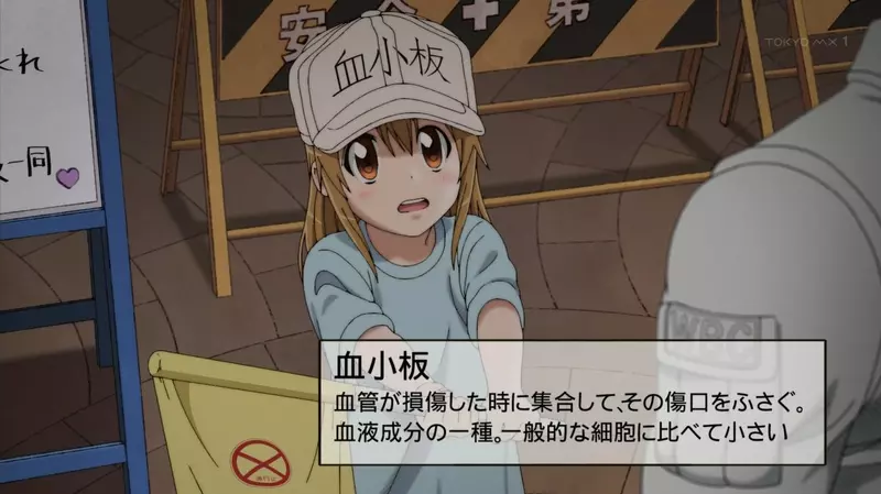 我的世界基岩版【】下载