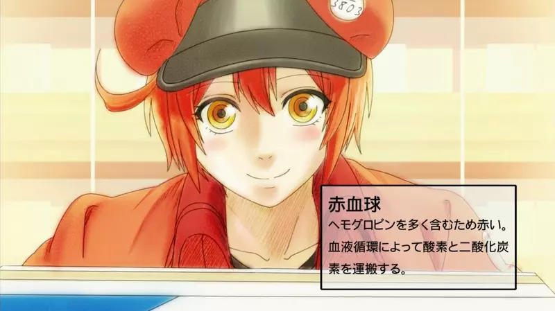 我的世界基岩版【】下载