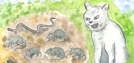 日本100年前曾帮助驱逐老鼠的猫咪!如今被封为“忠义之猫”在忠猫神社受人景仰! - 我的世界基岩版中文站