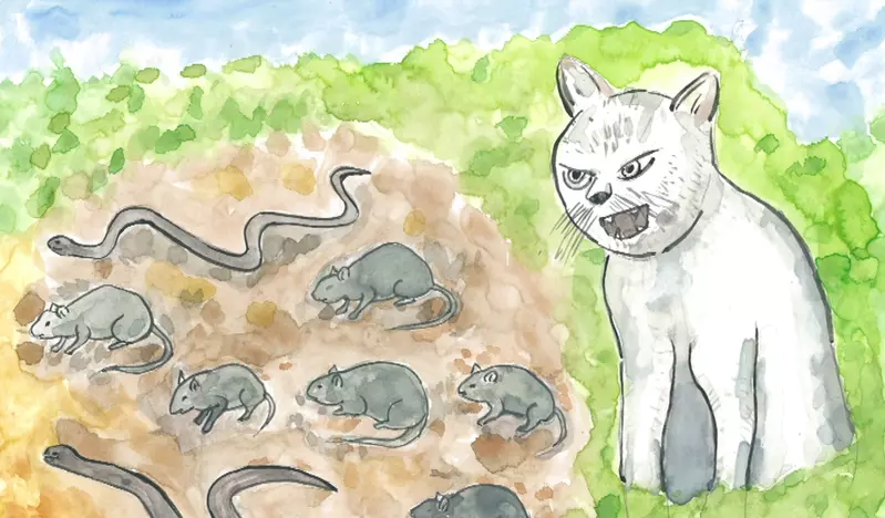 日本100年前曾帮助驱逐老鼠的猫咪！如今被封为“忠义之猫”在忠猫神社受人景仰！ - 奇趣星球报 - 奇趣星球报