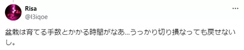 我的世界基岩版【】下载 我的世界基岩版【】下载