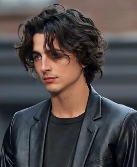 颠覆传统!Timothée Chalamet:瘦弱书卷气亦能称霸好莱坞! - 奇趣星球报 - 奇趣星球报