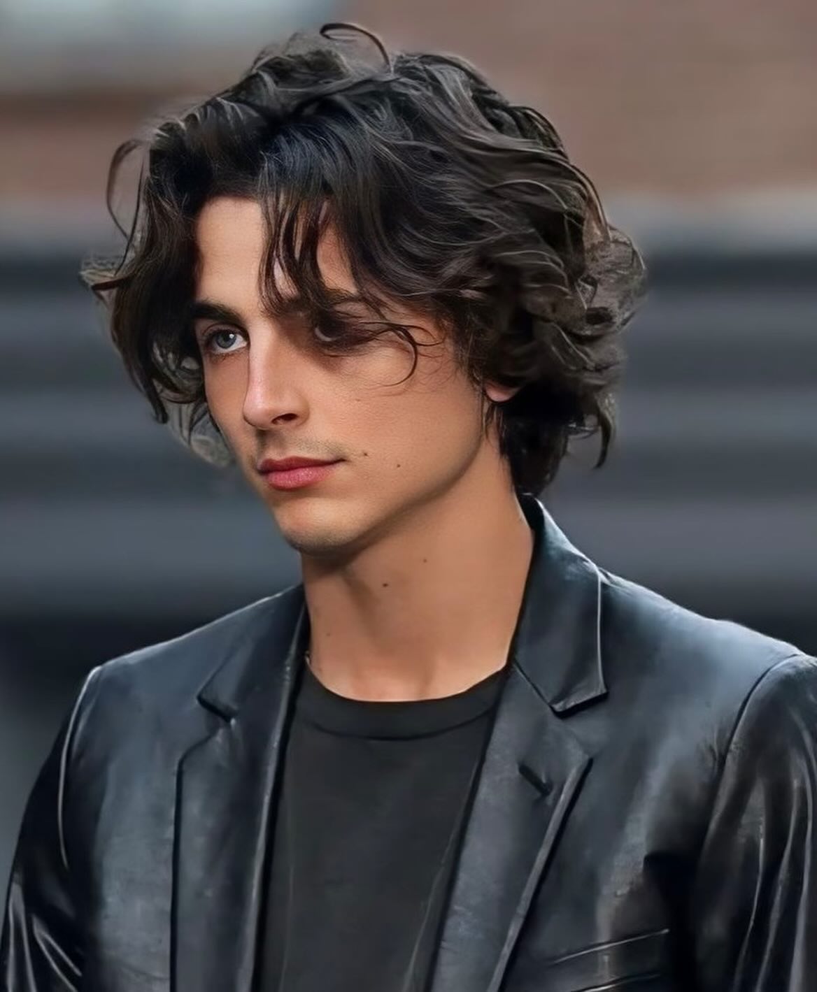 颠覆传统！Timothée Chalamet：瘦弱书卷气亦能称霸好莱坞！ - 我的世界基岩版中文站 - 我的世界基岩版中文站